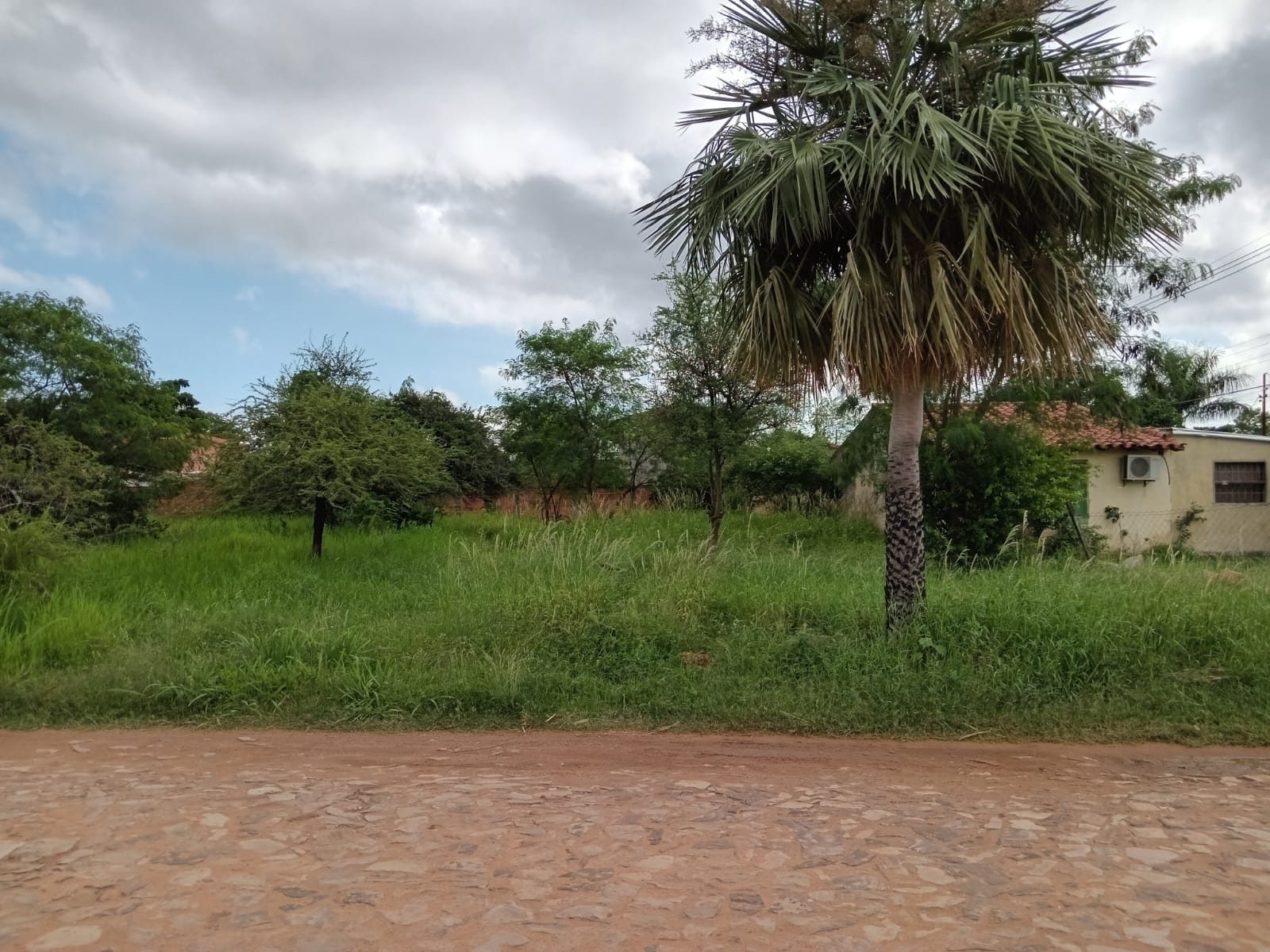 Terreno en Limpio